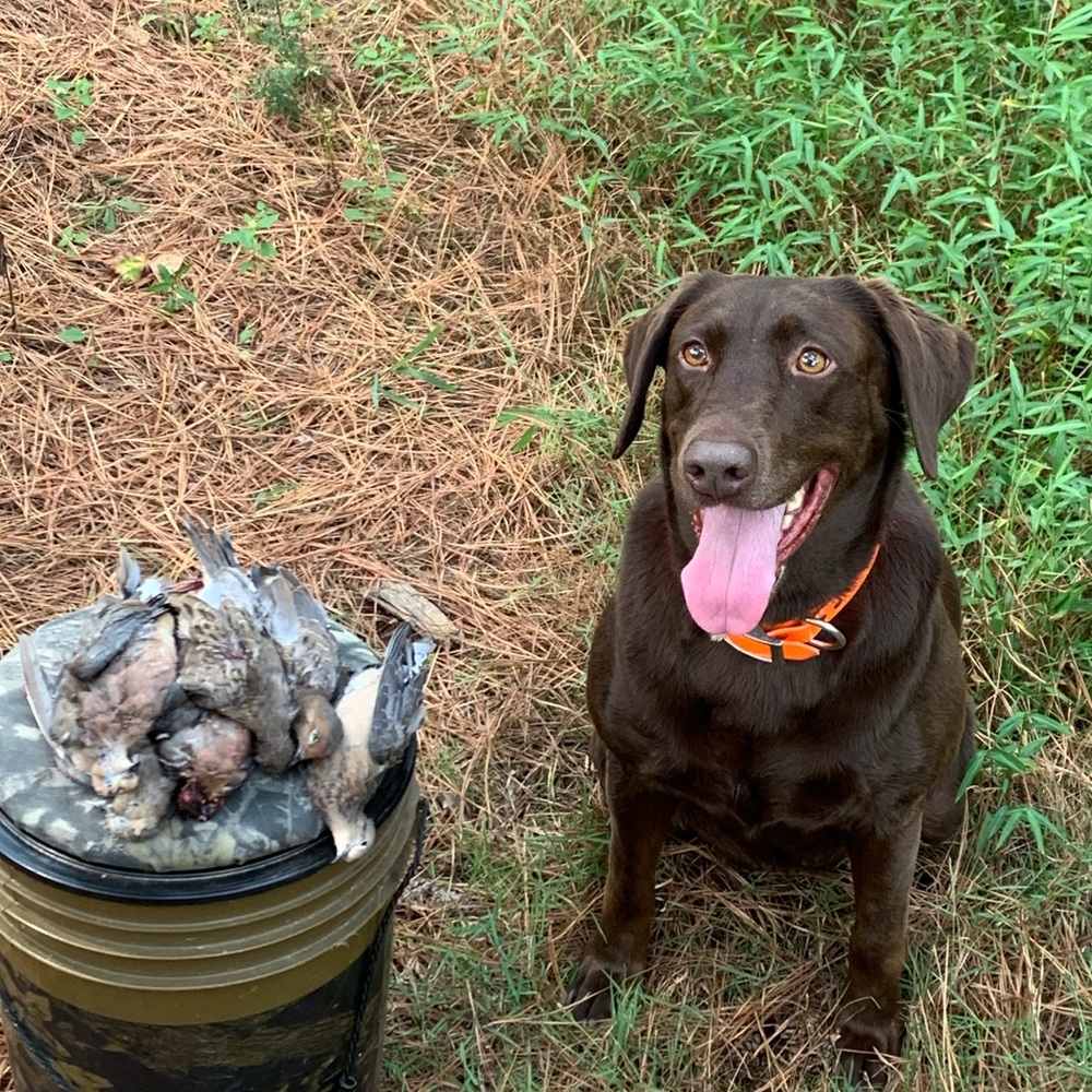 Meet your Posher, Dj